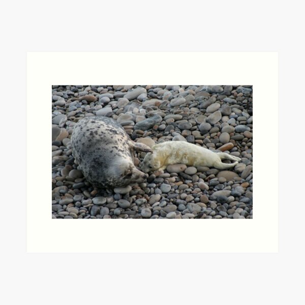 Mother love Art Print