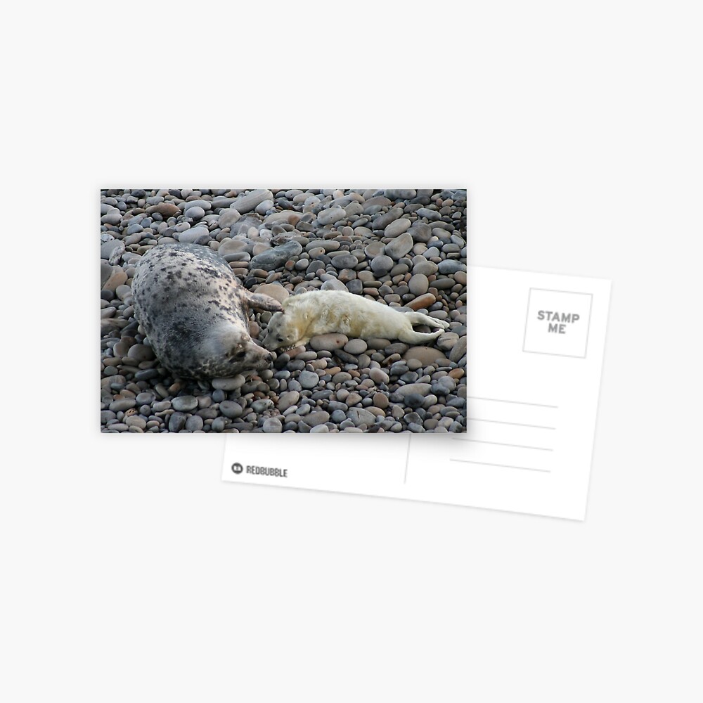 Item preview, Postcard designed and sold by orcadia.