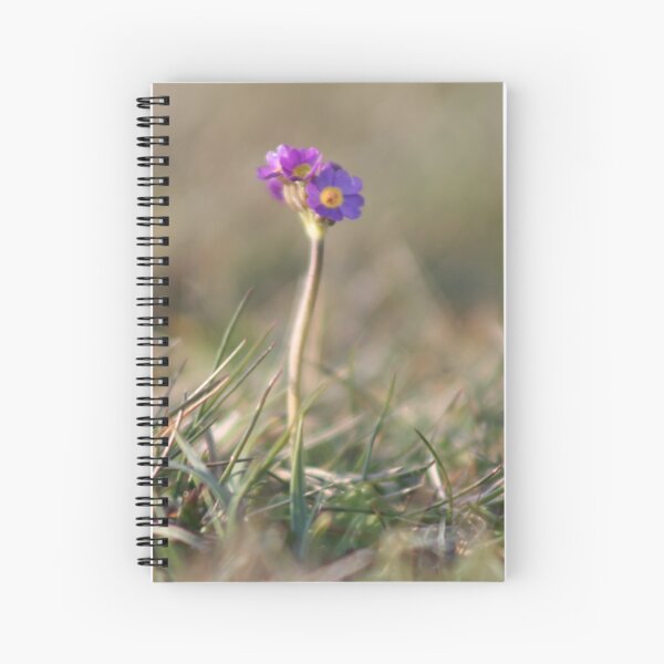 Primula Scotica Spiral Notebook