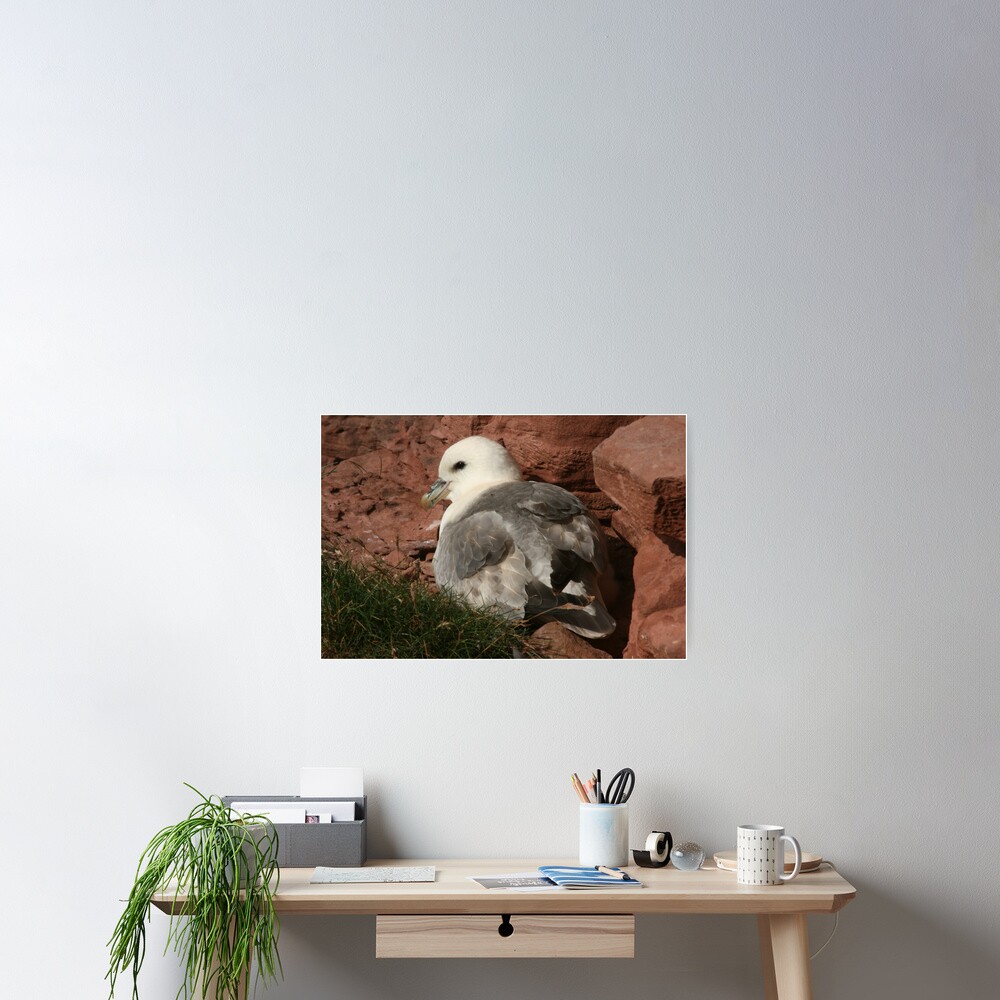 Item preview, Poster designed and sold by orcadia.