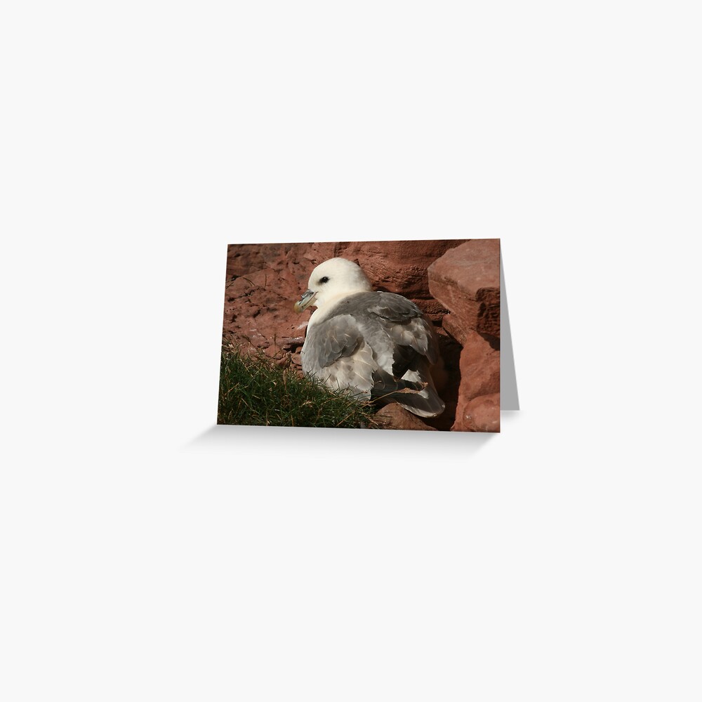 Item preview, Greeting Card designed and sold by orcadia.