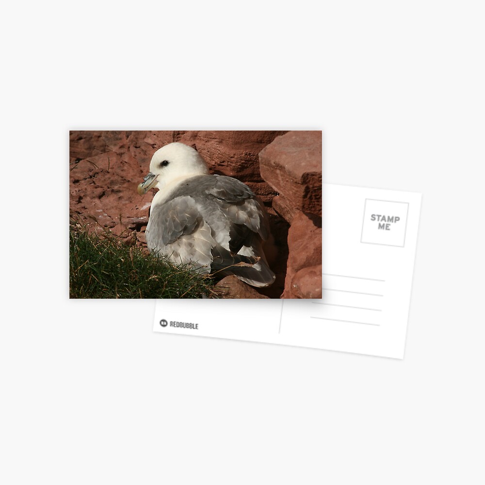 Item preview, Postcard designed and sold by orcadia.