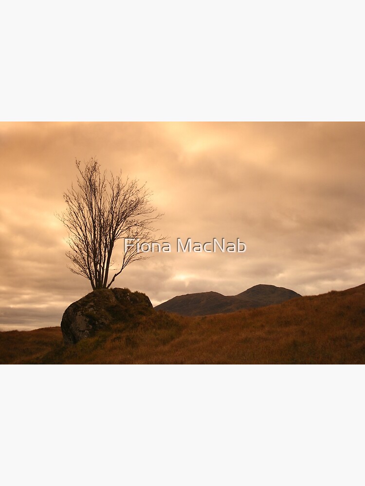 Rannoch Moor by orcadia