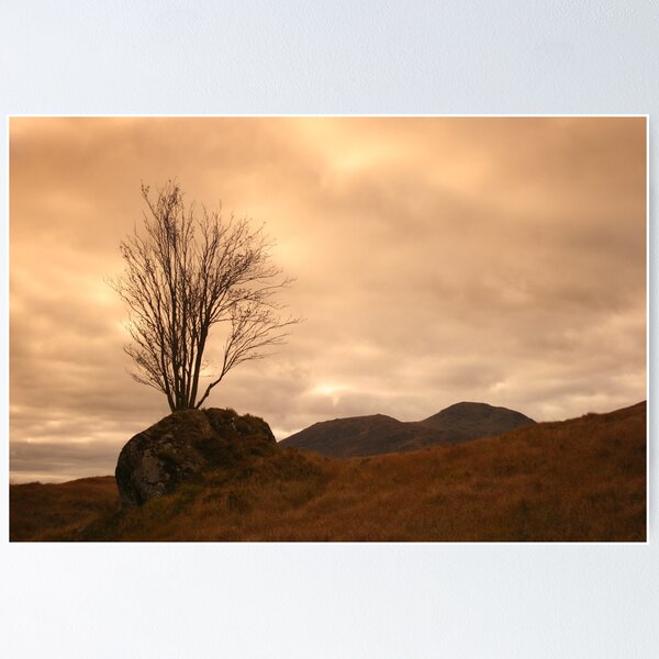 Item preview, Rannoch Moor designed and sold by Fiona MacNab.