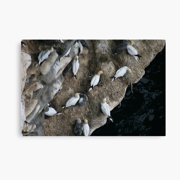 Item preview, Nests designed and sold by Fiona MacNab.