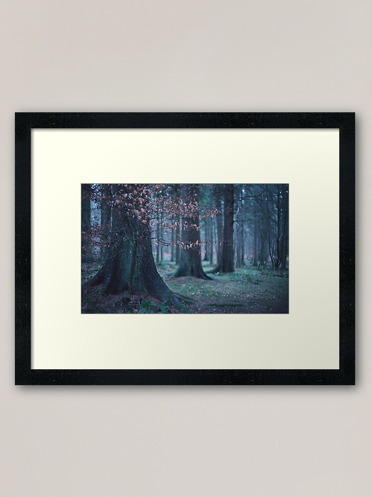 Alternate view of The Softness: 6: Spray of Beech Leaves Framed Art Print