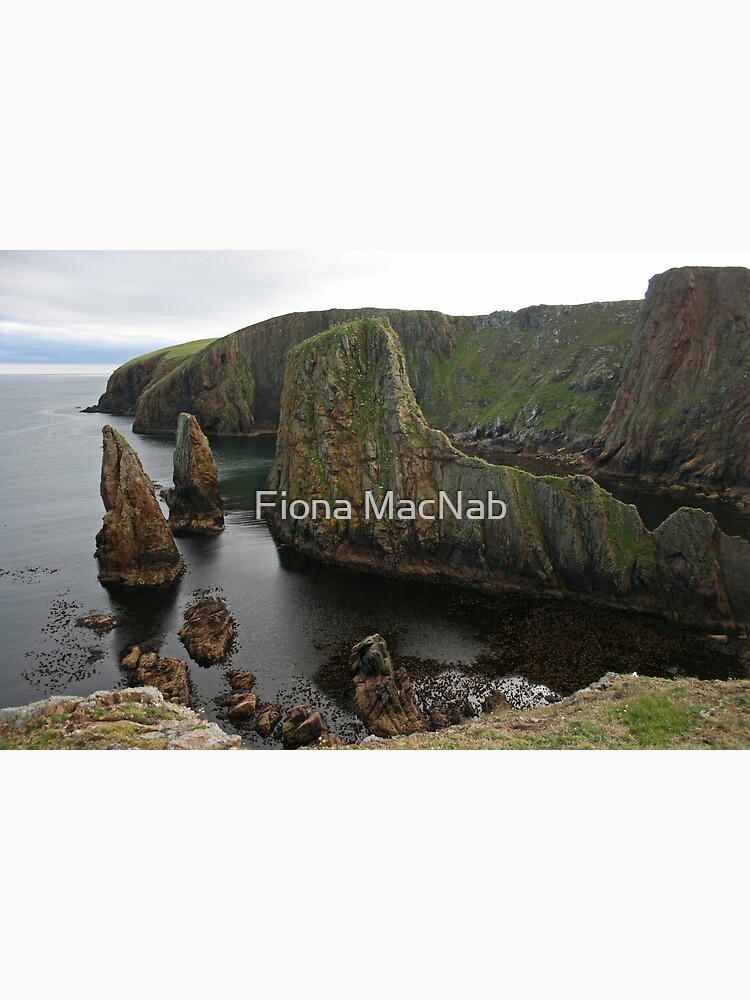 Cliffs, Westerwick by orcadia