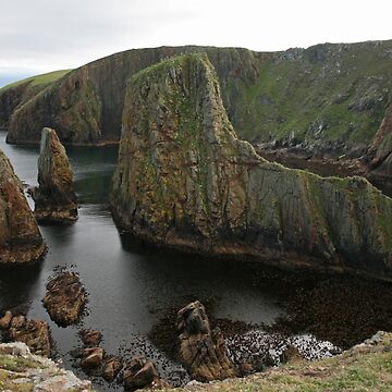 Artwork thumbnail, Cliffs, Westerwick by Fiona MacNab