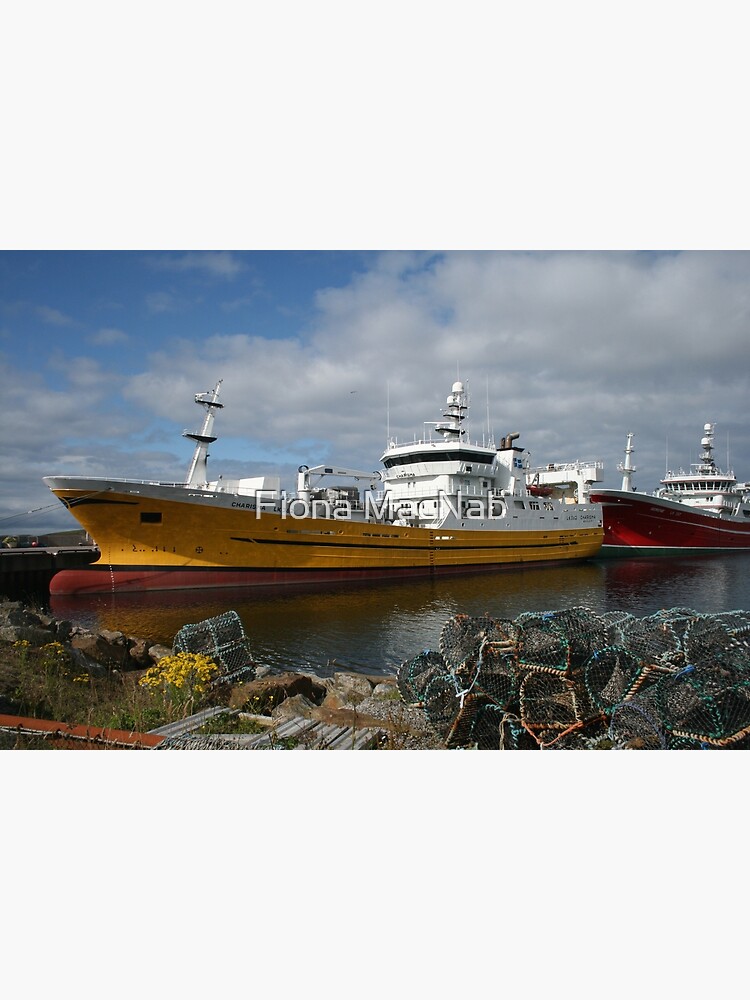 Pelagic fleet by orcadia