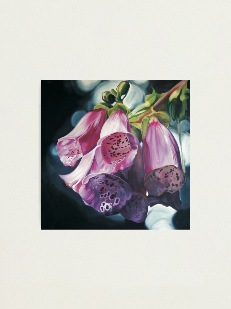 Alternate view of Foxgloves Hi Res Photographic Print