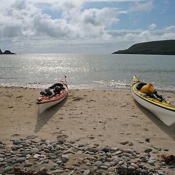 Artwork thumbnail, Perfect paddling by Fiona MacNab
