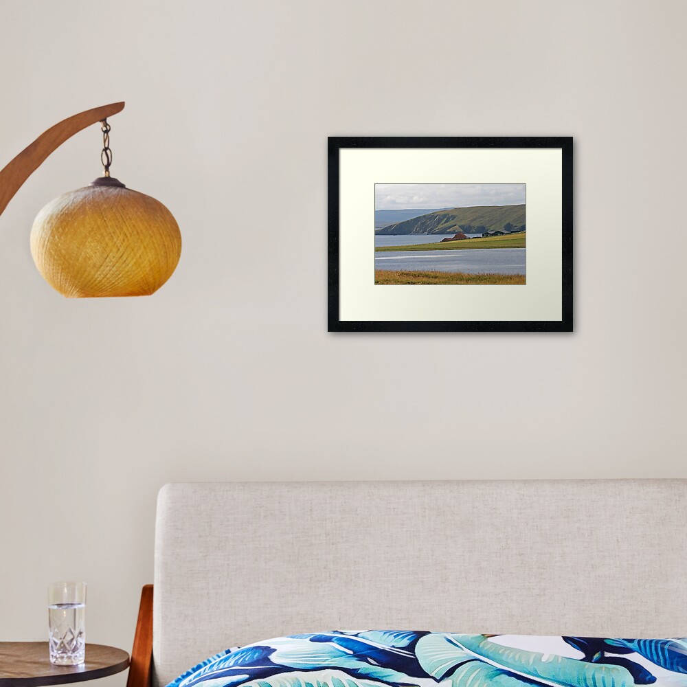 Shetland Framed Art Print