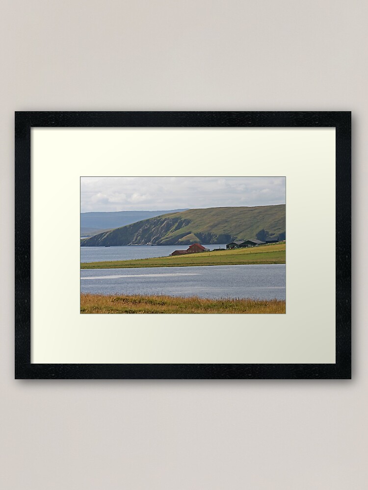 Alternate view of Shetland Framed Art Print