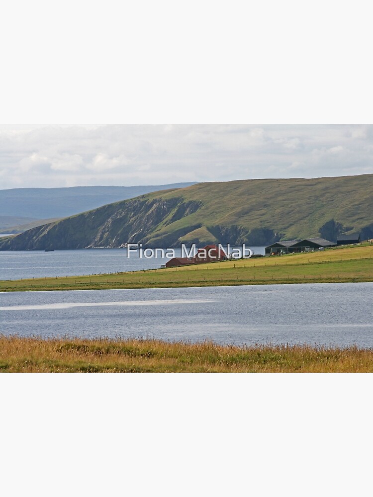 Shetland by orcadia