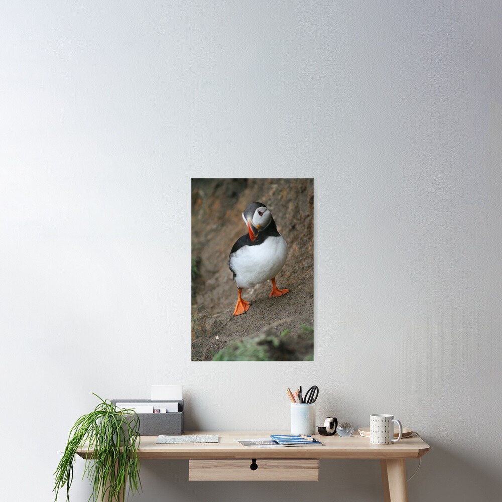 Item preview, Poster designed and sold by orcadia.