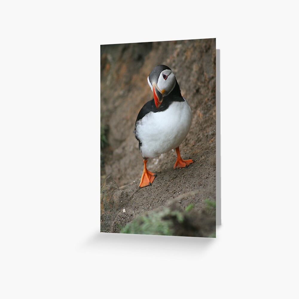 Item preview, Greeting Card designed and sold by orcadia.