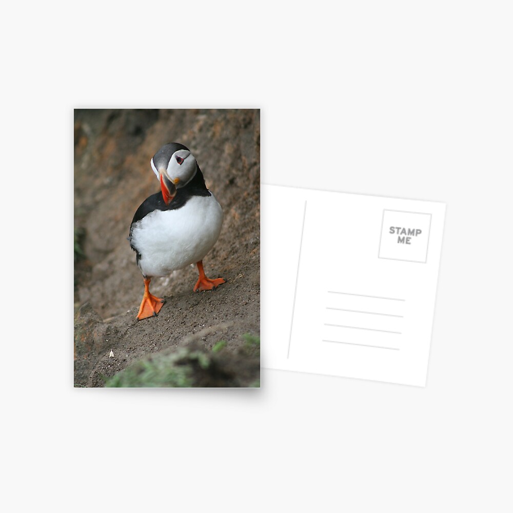 Item preview, Postcard designed and sold by orcadia.