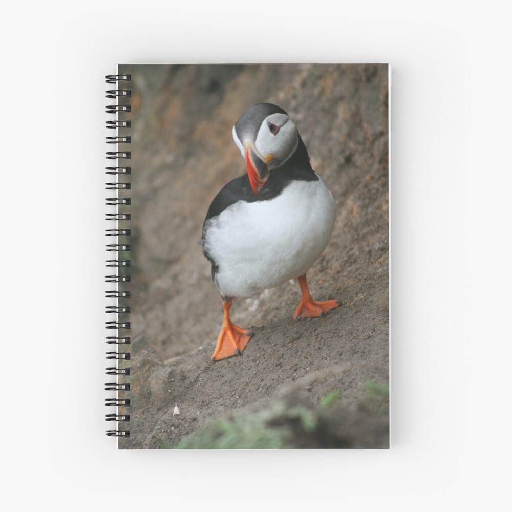Item preview, Spiral Notebook designed and sold by orcadia.