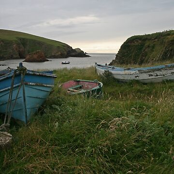 Artwork thumbnail, Boat nousts, Spiggie by Fiona MacNab