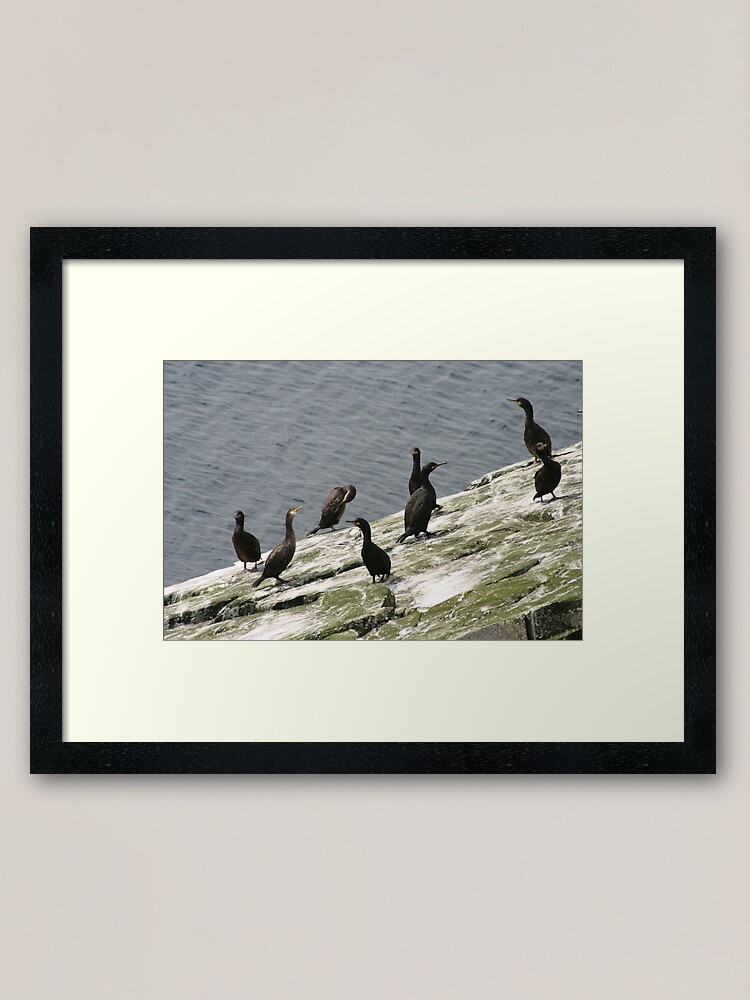 Alternate view of Skarfies Framed Art Print