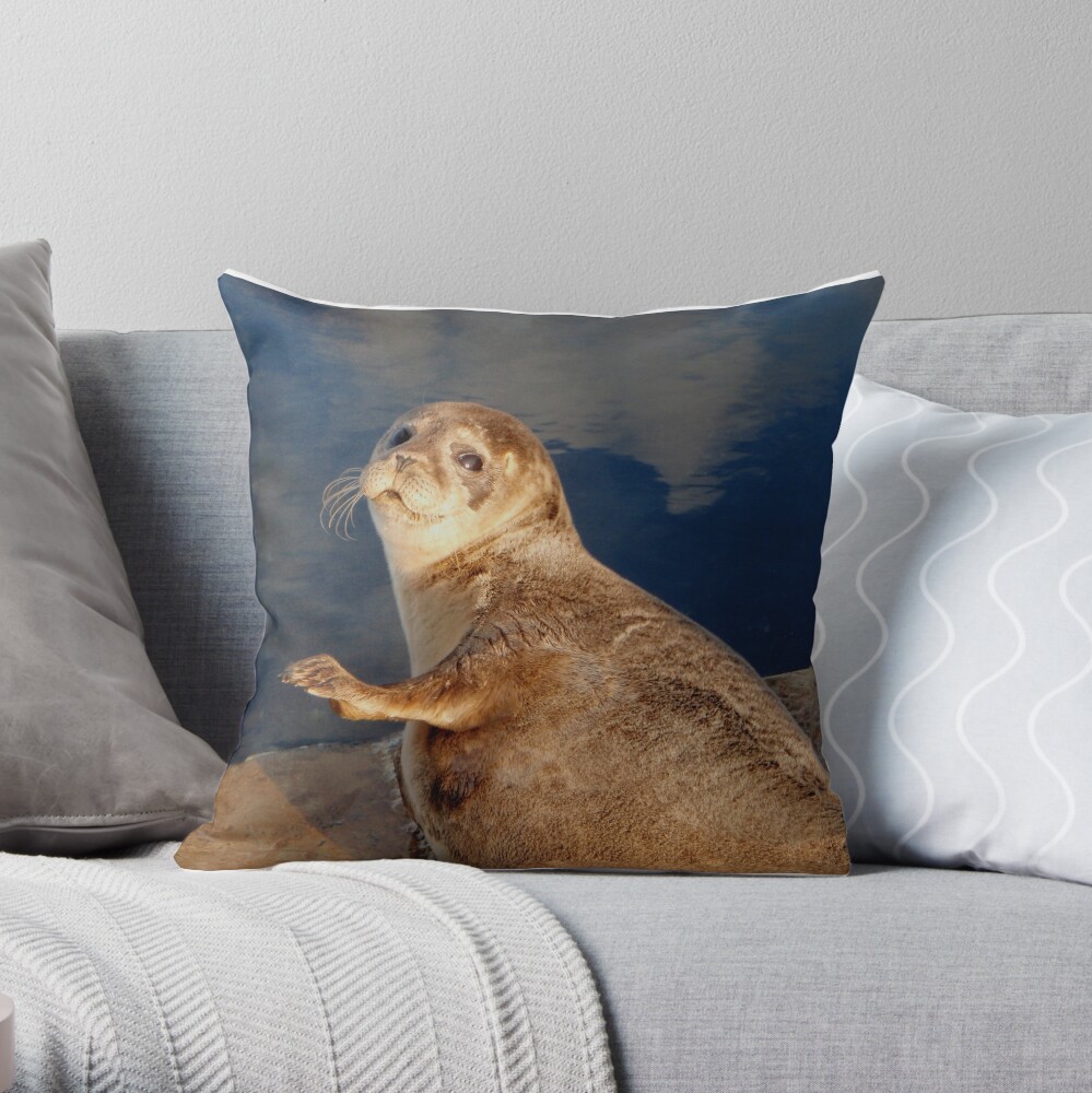 Who you lookin' at? Throw Pillow