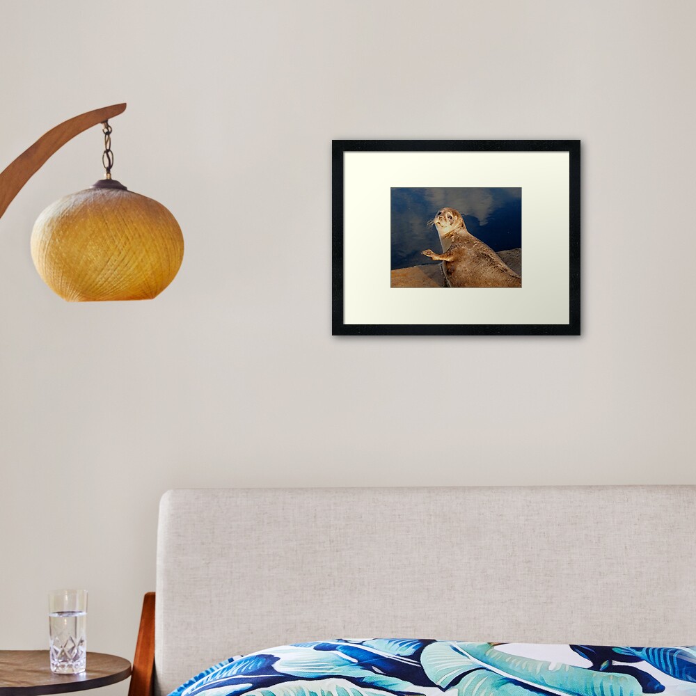 Who you lookin' at? Framed Art Print