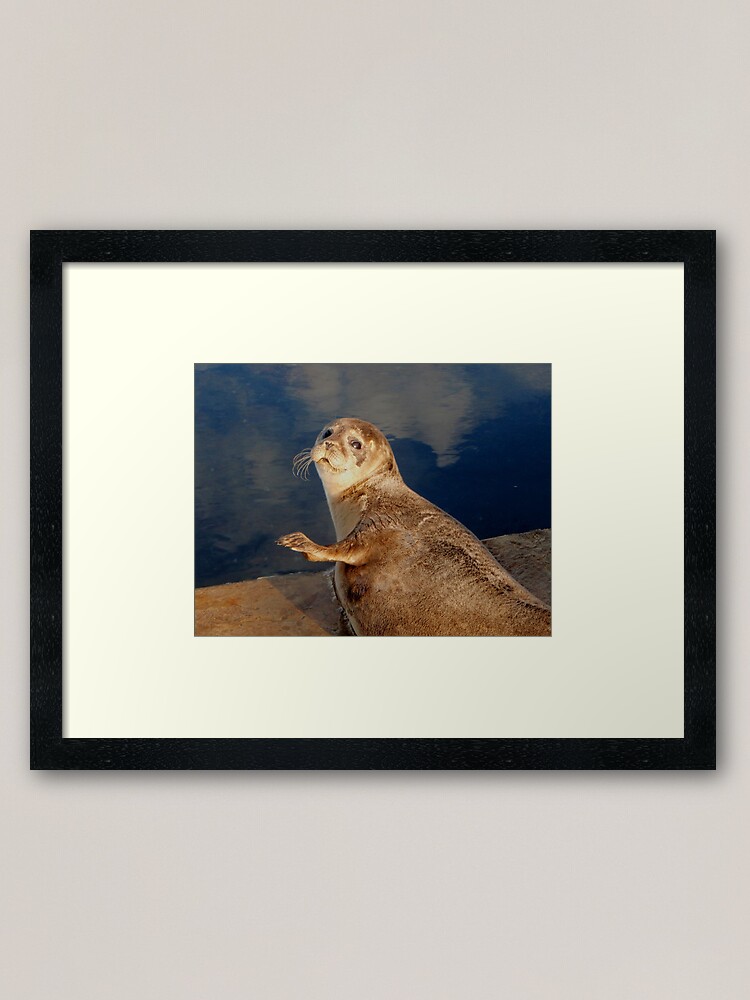 Alternate view of Who you lookin' at? Framed Art Print