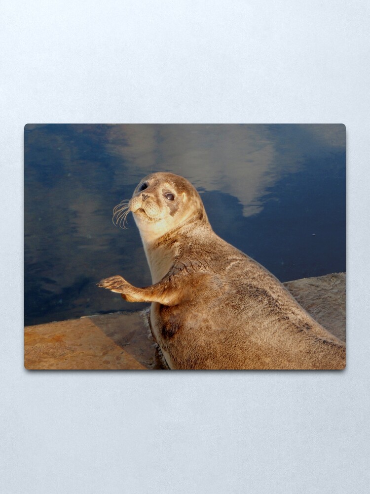 Alternate view of Who you lookin' at? Metal Print