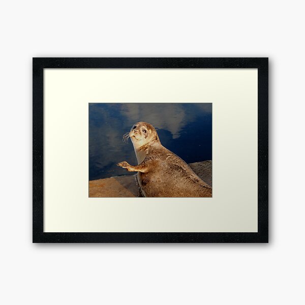 Framed Art Print
