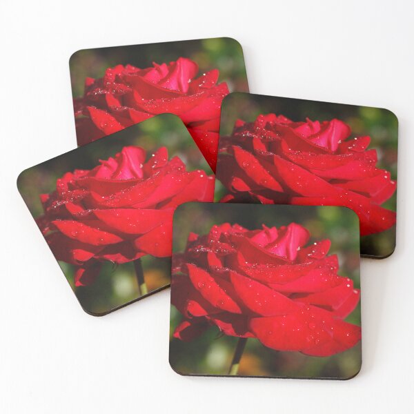 Item preview, Red Hybrid Tea, Rose, Dewdrops, Flower designed and sold by Torsten  Krüger.