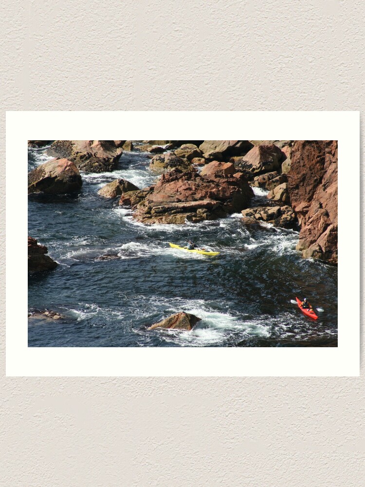 Alternate view of Rockhopping Art Print