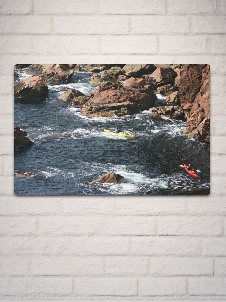 Metal Print, Rockhopping designed and sold by Fiona MacNab