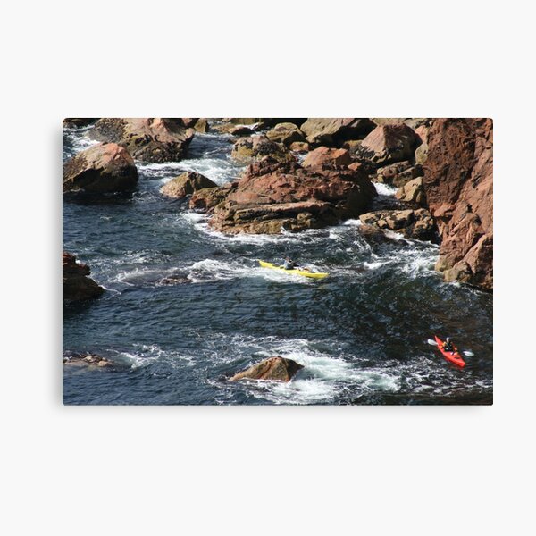 Rockhopping Canvas Print
