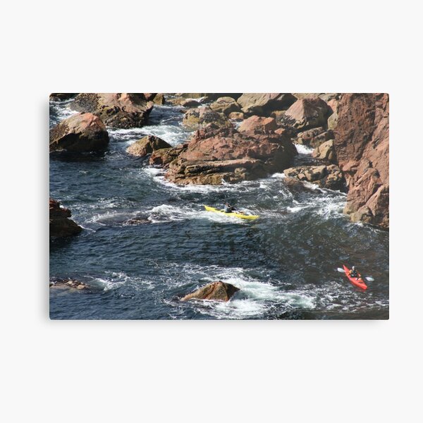 Rockhopping Metal Print
