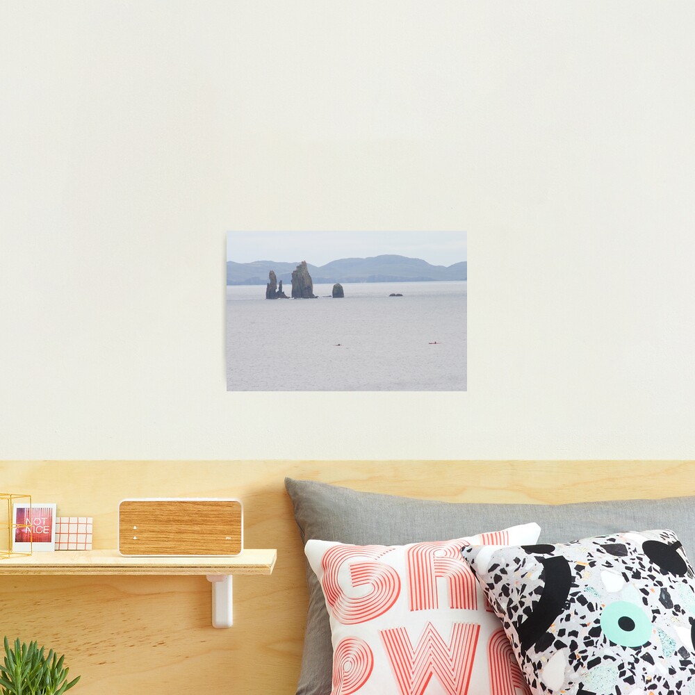Da Drongs Photographic Print
