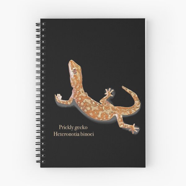 Item preview, Prickly Gecko Heteronotia binoei by Chrissy Wild on black designed and sold by ChrissyWild.