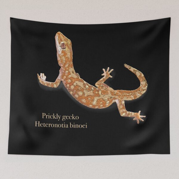 Item preview, Prickly Gecko Heteronotia binoei by Chrissy Wild on black designed and sold by ChrissyWild.