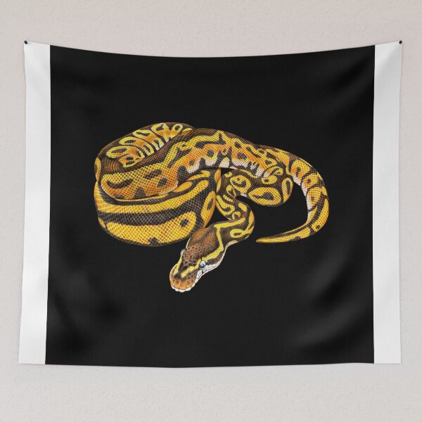 Item preview, Ball Python designed and sold by TimJeffsArt.