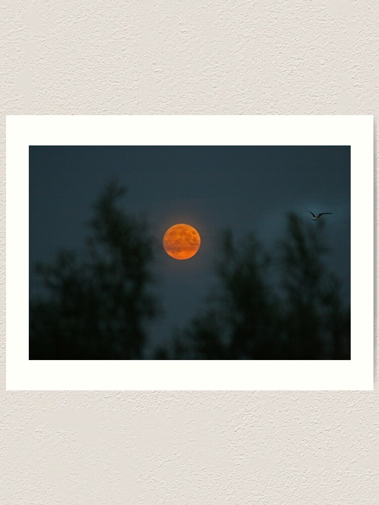 Alternate view of Midsummer's Moon Art Print