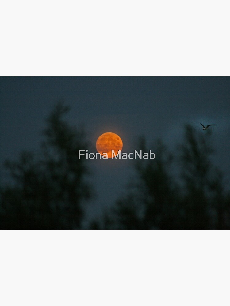 Midsummer's Moon by orcadia