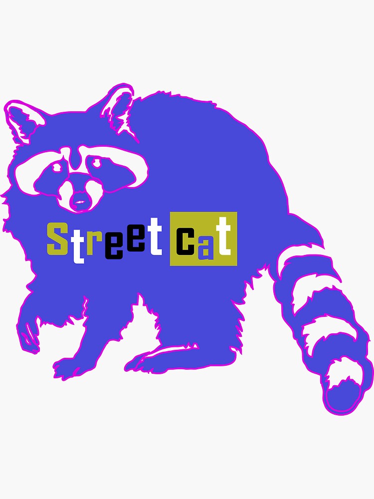 Raccoon Street Cat by a-roderick