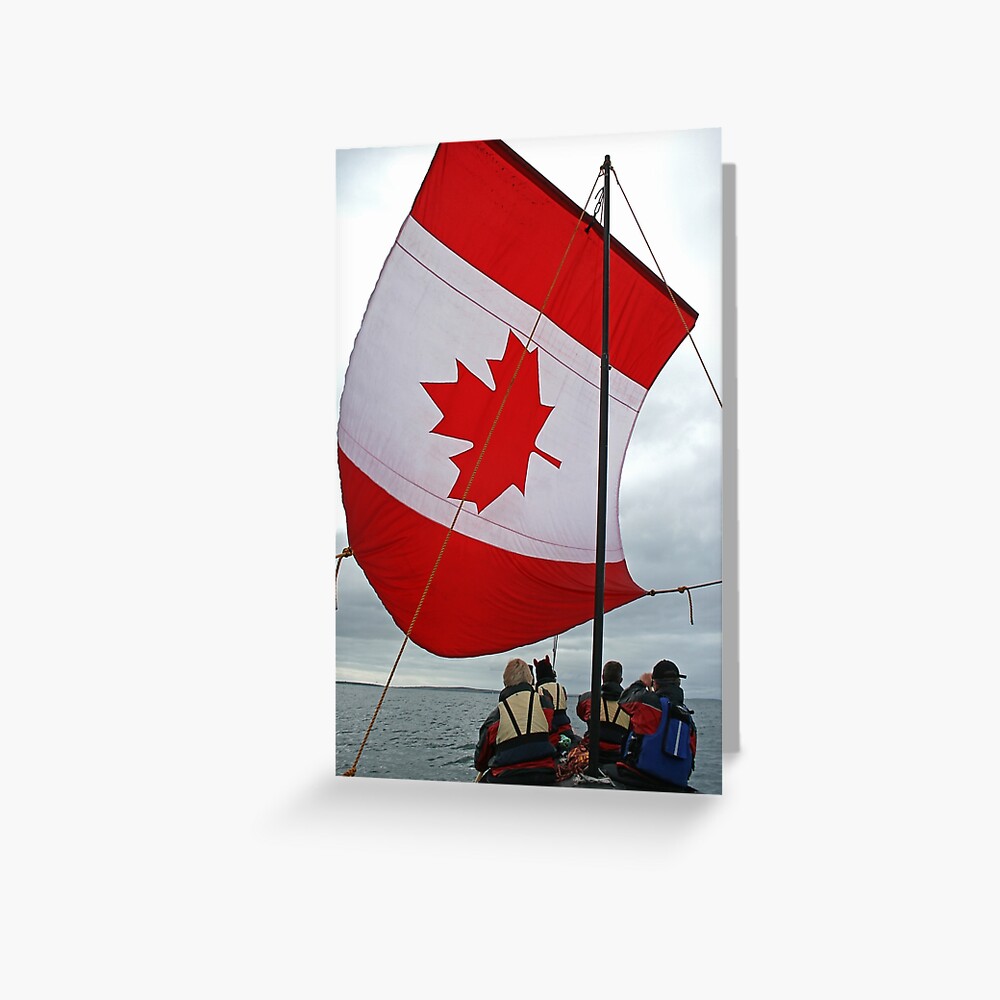Under sail Greeting Card