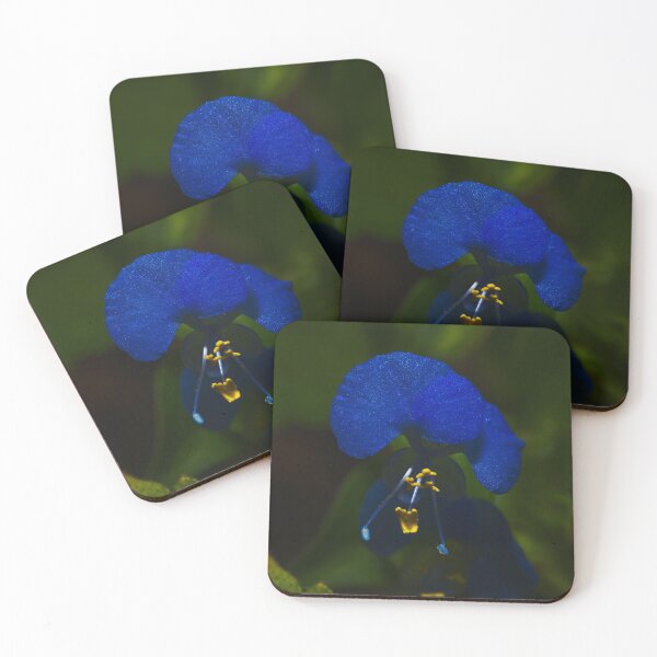 Item preview, A Tiny Flower With The Bluest Blue Petals  designed and sold by Jason Gilbert.