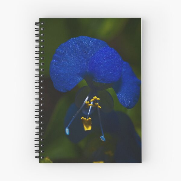 Item preview, A Tiny Flower With The Bluest Blue Petals  designed and sold by Jason Gilbert.