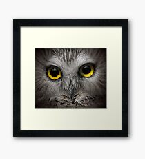 Focus Framed Print