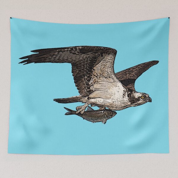 Item preview, Osprey Holding Fish Color Print designed and sold by designsasstultd.
