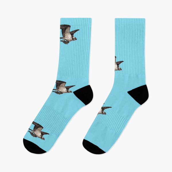 Item preview, Osprey Holding Fish Color Print designed and sold by designsasstultd.