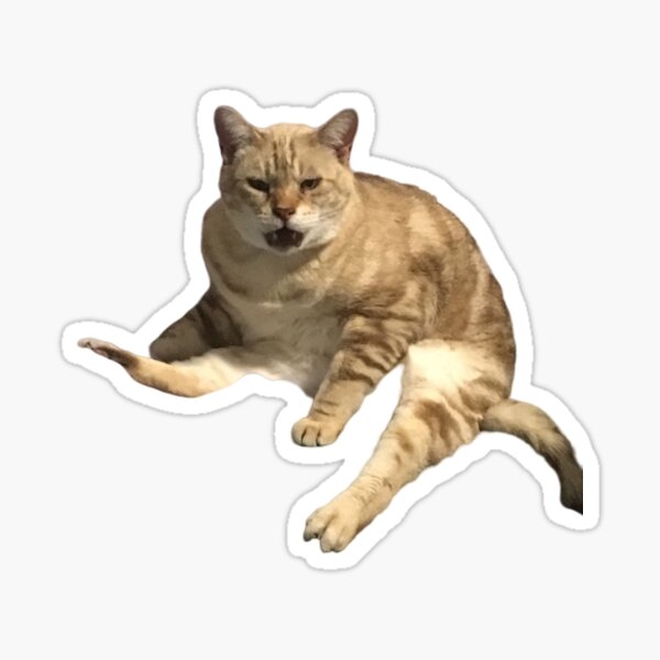 Nick the cat shouting at you Sticker