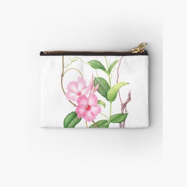Item preview, Mandevilla splendens designed and sold by Laura Montserrat.
