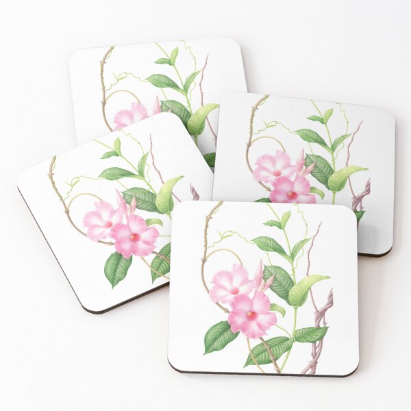 Item preview, Mandevilla splendens designed and sold by Laura Montserrat.